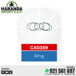 ANILLOS GX0359