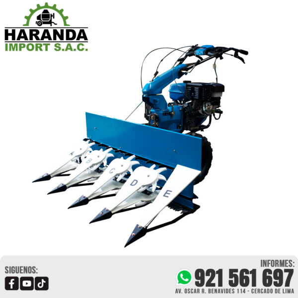 MOTOSEGADORA PETROLERA