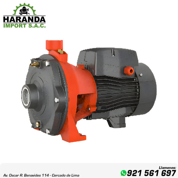 BOMBA DE AGUA CENTRIFUGA IMPULSOR DOBLE EN BRONCE LEO 2XCm25/160A